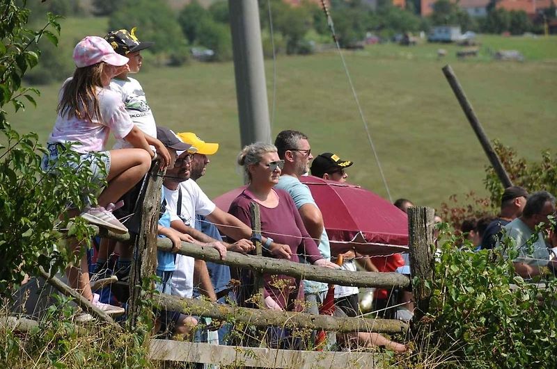 Vítězem 53. ročníku Barum Czech Rally Zlín se stal Dominik Stříteský. Bronzovou příčku bral další domácí pilot Erik Cais.
