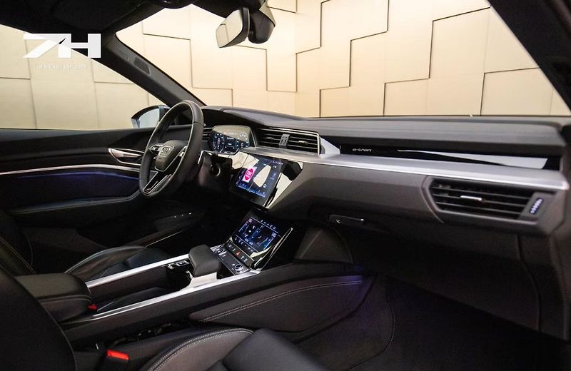 Audi Q8 e-tron 55 Q Kam Vzduch HuD BLIS  - fotka 16 z 23