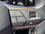 Cupra Formentor (2024) 2,0 TSI 4Drive DSG - náhled 19