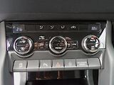 Škoda Karoq 2.0TDI 110kW DSG 4x4 Virtual - náhled 13