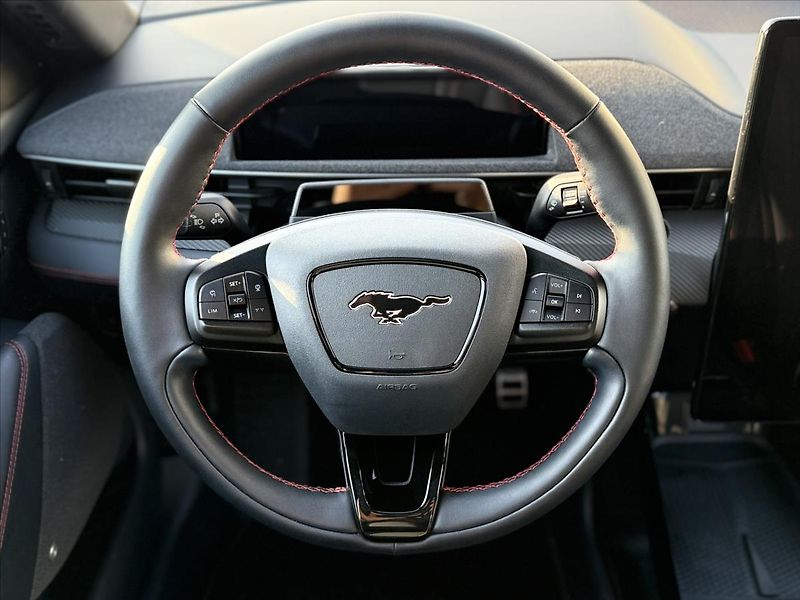 Ford Mustang Mach-E 92kWh Long Range Premium - fotka 20 z 35