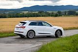 Audi e-tron (2020) /300kW - náhled 7