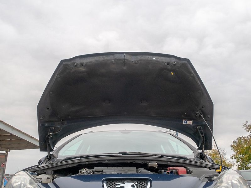 Peugeot 308 (2009) 1.6HDI 80KW SW  – PANORAMA - fotka 39 z 47