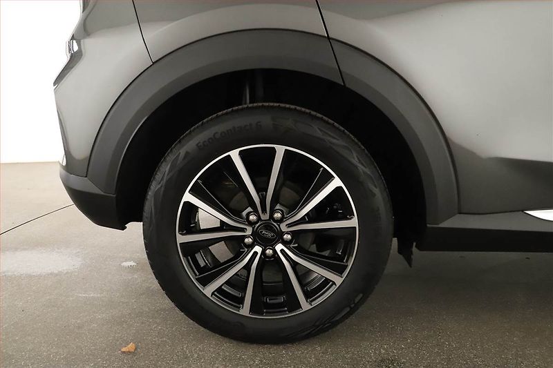 Ford Puma (2024) 1.0 EcoBoost, ČR - fotka 12 z 16