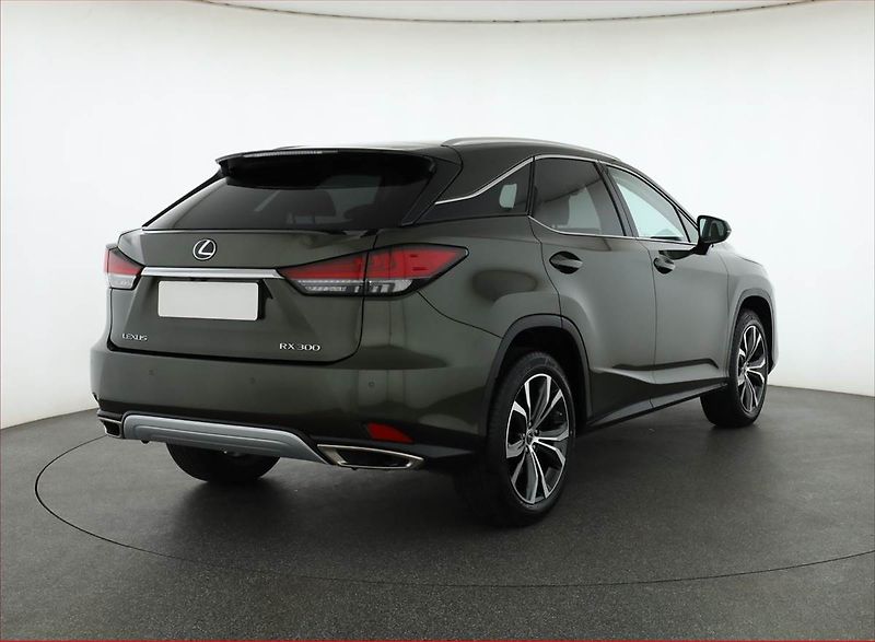 Lexus RX 400h (2022) 300 - fotka 5 z 21