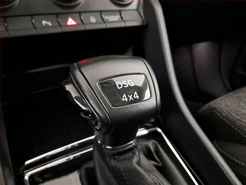 Škoda Kodiaq (2019) 2.0 TDI 4x4 - fotka 19 z 21