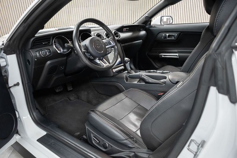 Ford Mustang RS 3.7 V6 227kW *ROUSH*KAMERA* - fotka 7 z 42