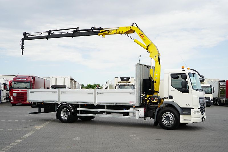 DAF LF (2015) / 250 / SKRZYNIOWY + HDS / HYV - fotka 4 z 52