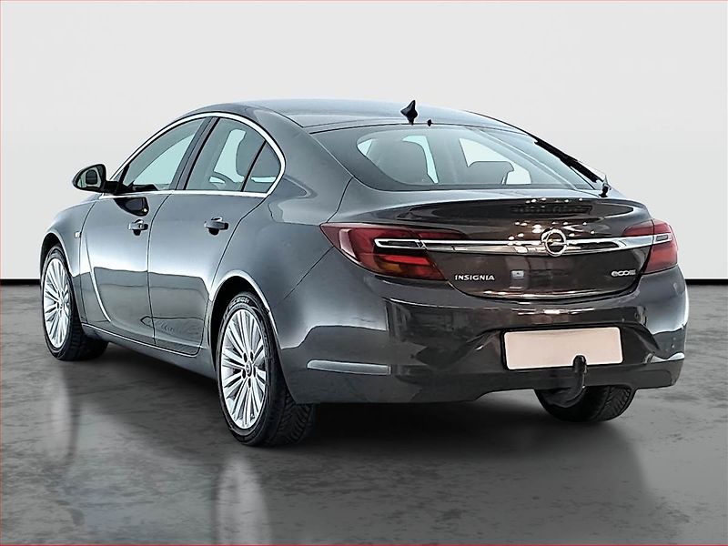 Opel Insignia (2013) 2.0 CDTI, Tempomat - fotka 4 z 20