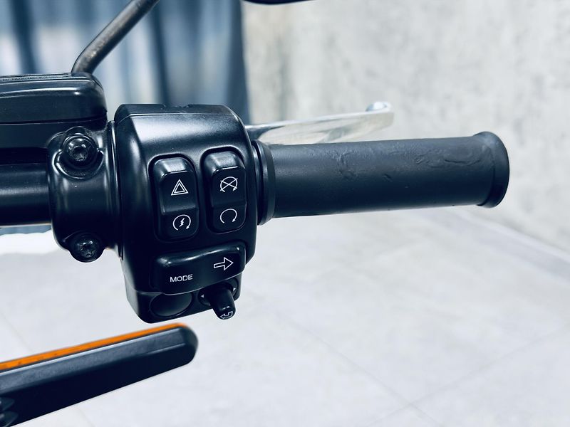 Harley-Davidson Ostatní (2022) ELW*LiveWire - fotka 11 z 19