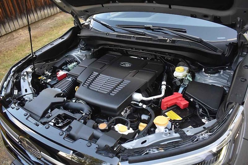 Subaru Forester při zkouškách v terénu