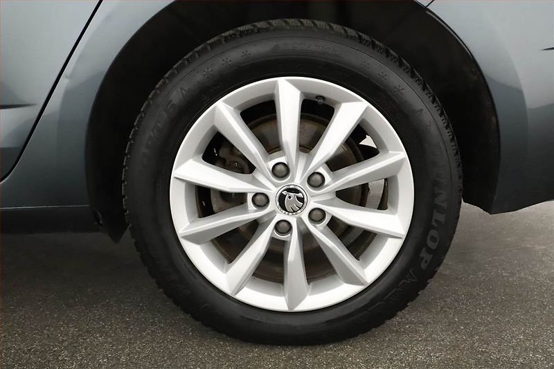Škoda Octavia (2018) 2.0 TDI, 4X4, Automat, Navi - fotka 16 z 16