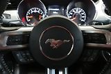 Ford Mustang (2015) 5.0 Ti-VCT V8 GT 50 automat - náhled 19