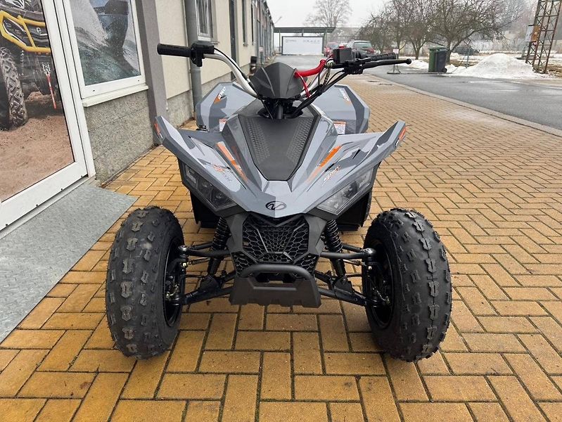 Linhai (2026) ATV 110 - fotka 2 z 3