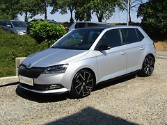 Škoda Fabia (2020) 1.0TSI 81kW MONTE CARLO - fotografie inzerátu