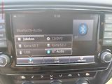 Škoda Octavia (2014) 2.0 TDi, ČR, Navi, bixen - náhled 13