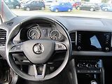 Škoda Karoq (2019) 2.0 TDi, ČR, Ambition - náhled 11