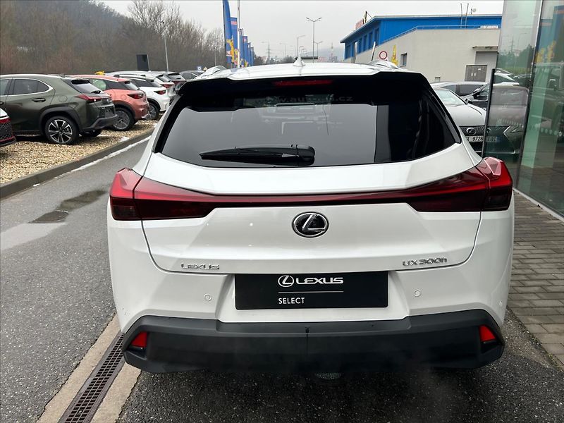 Lexus UX 300h (2024) 2.0   Prestige Plus - fotka 4 z 11