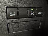 Lexus NX 300h 2,5   Hybrid Luxury LED Assist - náhled 23