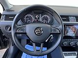 Škoda Octavia (2020) 2.0TDI NAVI*NEZ*TOPENÍ*TAŽNÉ ! - náhled 29
