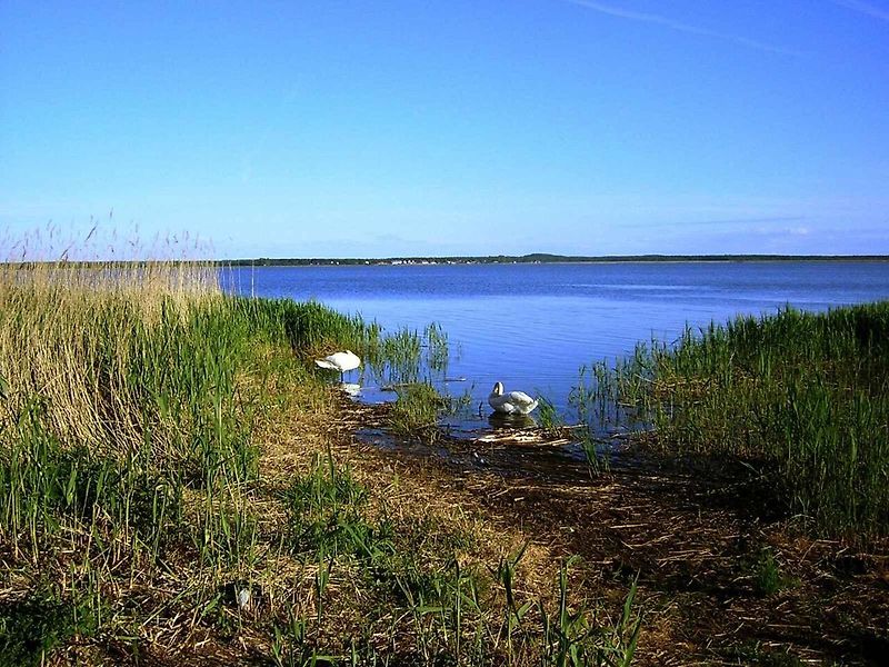 Łącka góra je to nejvyšší duna na polském pobřeží Baltu.