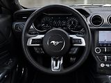 Ford Mustang 5,0 GT V8 330kW 55YearsEdition - náhled 18