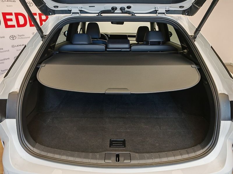 Lexus RX 350h 350h F SPORT Design Plus - fotka 14 z 48
