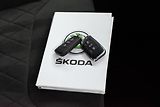 Škoda Kodiaq 1.5 TSI SPORTLINE*DPH*ČR 1.MAJ - náhled 38