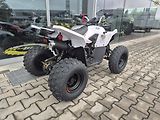 Linhai ATV 100 LH (2026) ATV 110 - náhled 23