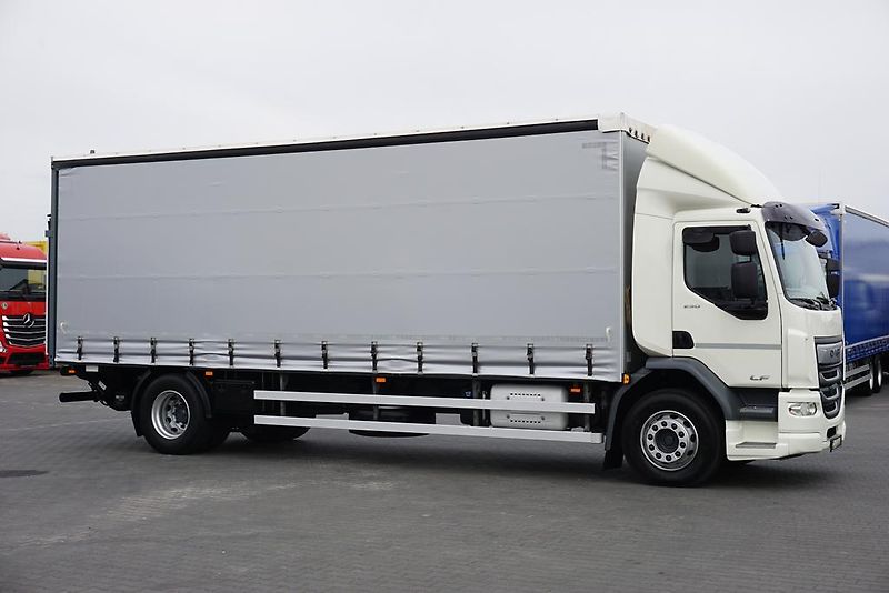 DAF LF (2019) 290 / E 6 / FIRANKA + WINDA /  - fotka 4 z 44