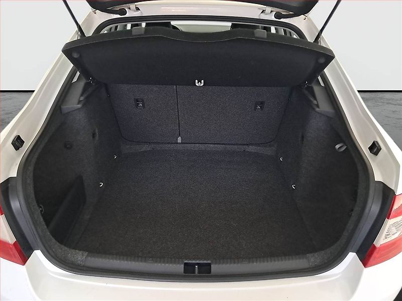 Škoda Octavia (2015) 1.4 TSI, Tempomat - fotka 13 z 13
