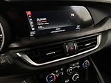 Alfa Romeo Stelvio 2.2JTDM 154kW Q4 SUPER 2XKOLA - náhled 19
