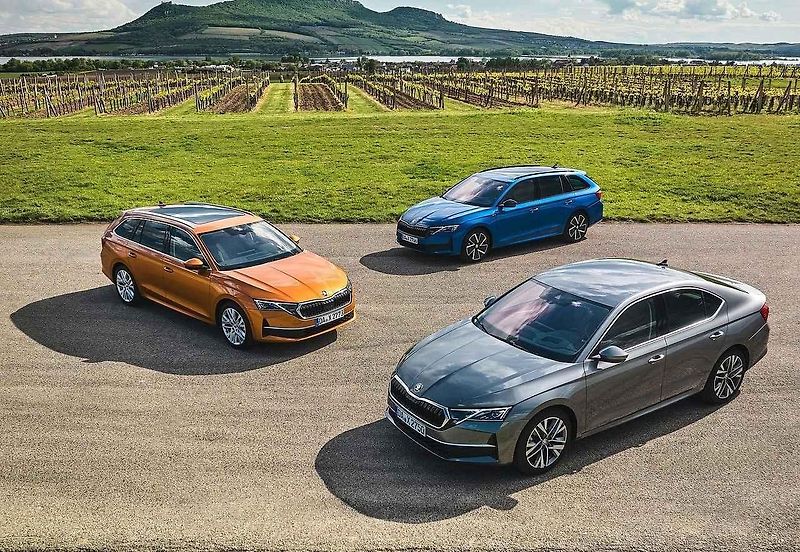 Toto jsou nejdůležitější modely mladoboleslavské automobilky.