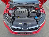 Škoda Octavia 2.0TDi DSG 1.Maj. ČR - DPH - náhled 40