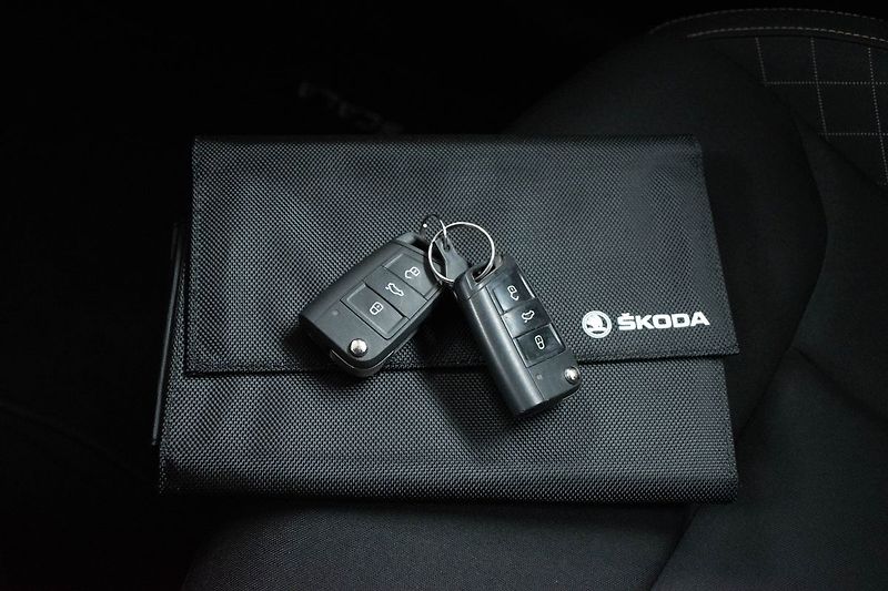 Škoda Scala 1.6 TDI 85kW ACC*Mirror Link* - fotka 31 z 32