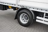 DAF LF (2018) 320 / ACC / E 6 / BURTOWY / 24 - náhled 35