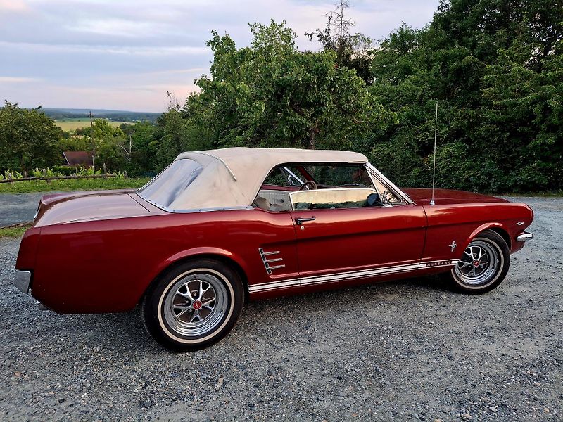 Ford Mustang (1966) Rok výroby 1966, Ford Mustang  - fotka 6 z 10