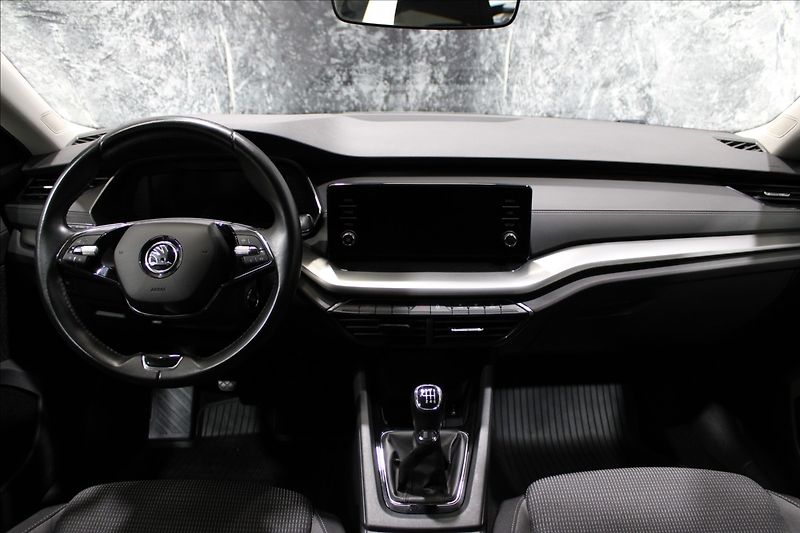Škoda Octavia 2,0 TDI Ambition 1.majitel CZ - fotka 28 z 31