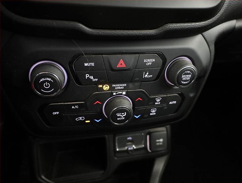 Jeep Renegade (2020) 1.0 T-GDI, Tempomat - fotka 10 z 19