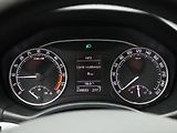 Škoda Octavia 2,0 TDI RS 125kW Xenon Navi - náhled 18