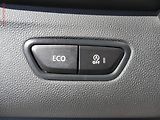 Renault Kadjar (2017) 1.2 TCe, ČR, AC, panor - náhled 9