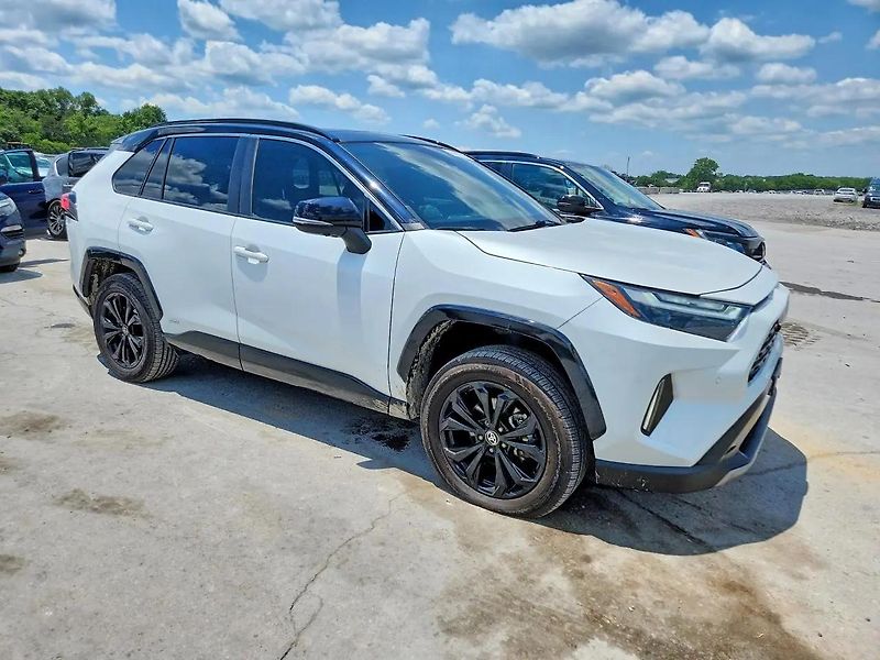 Toyota RAV4 (2024) Auto na cestě - fotka 4 z 13