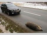 Ilustrační foto