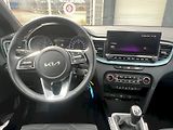 Kia Ceed (2025) Edice 30 1.5 T- GDI 103 kW 6°m - náhled 21