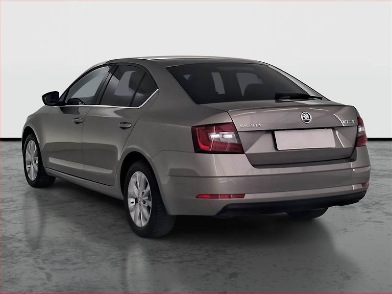 Škoda Octavia (2019) Style 1.5 TSI, Serv.kniha - fotka 4 z 25