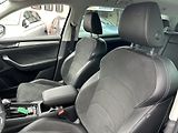 Škoda Kodiaq (2023) 2.0 TDi 110 KW - náhled 14