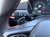 Ford Ranger 3,0 EcoBoost V6 215kW Raptor - náhled 38