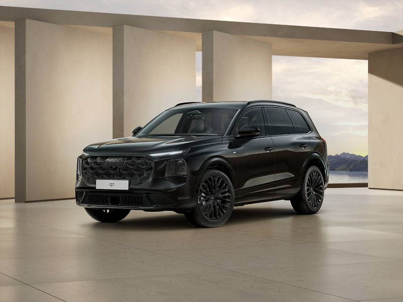 Audi Q7 Quattro 8TT 3,0TDI - fotka 1 z 7