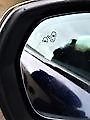 DS Automobiles DS7 (2026) PERFORMANCE LINE 1.5 BlueHDi - fotka 11 z 17