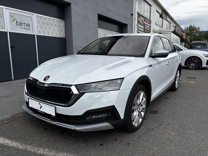 Škoda Octavia (2023)  Combi Scout 2.0 TDI (147 kW)  - fotka 6 z 14